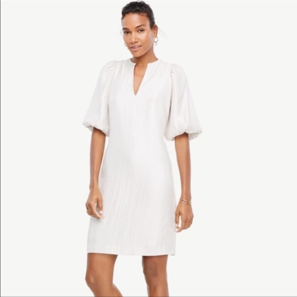NWT Ann Taylor Metallic shimmer Puff Sleeve Dress size 8p Lined - Picture 2 of 9
